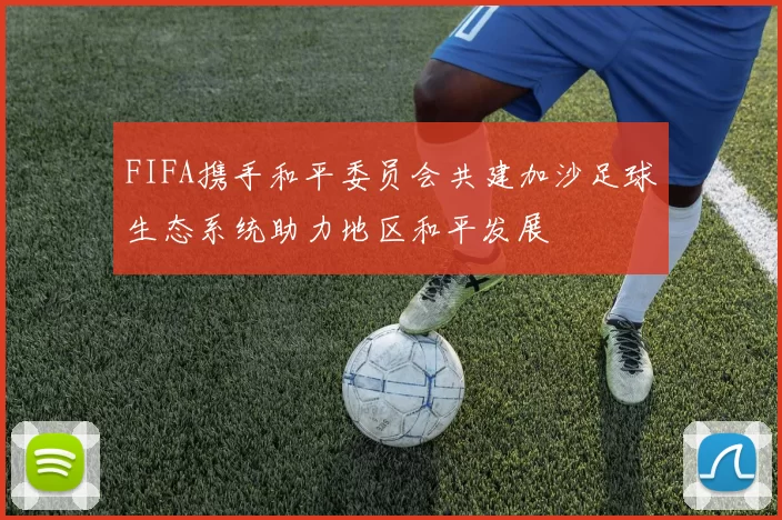 FIFA携手和平委员会共建加沙足球生态系统助力地区和平发展